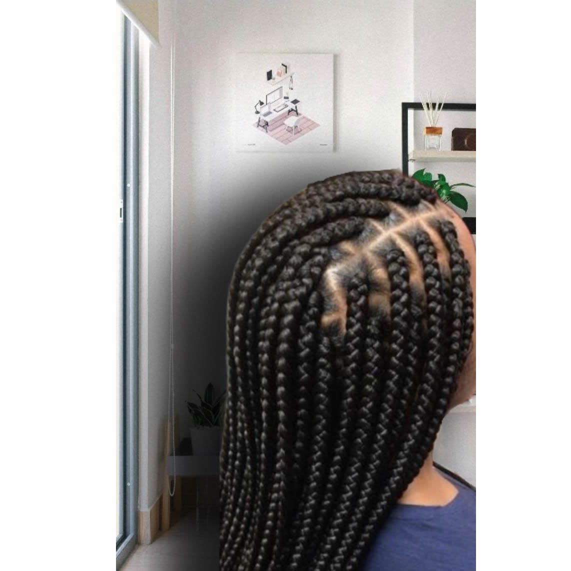 Braids 13