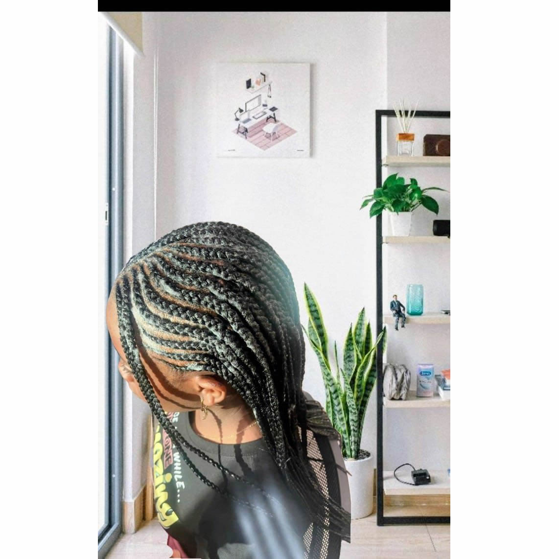 Braids 17