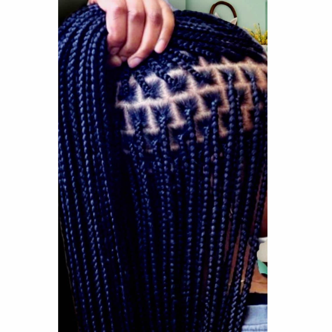 Braids 18