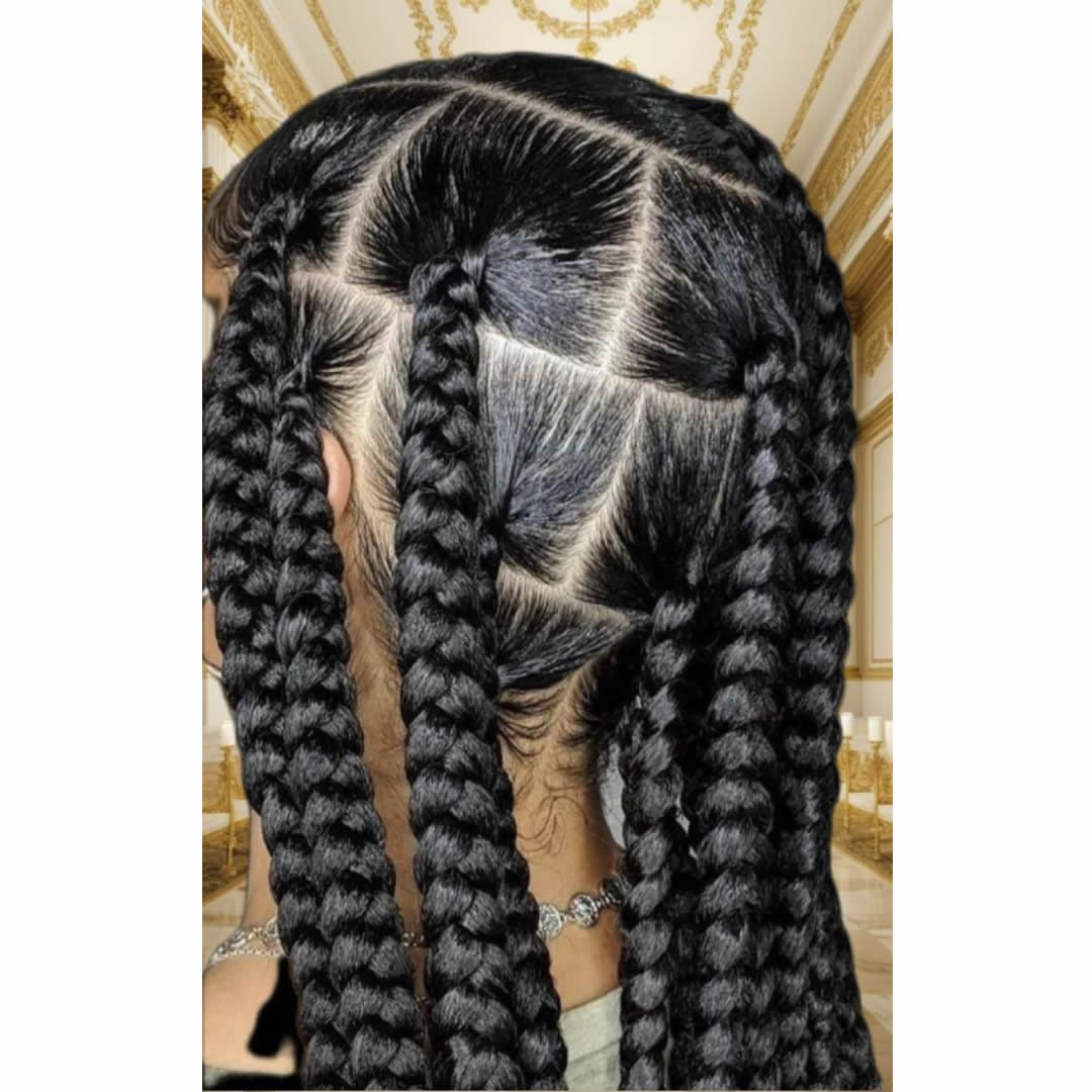 Braids 20