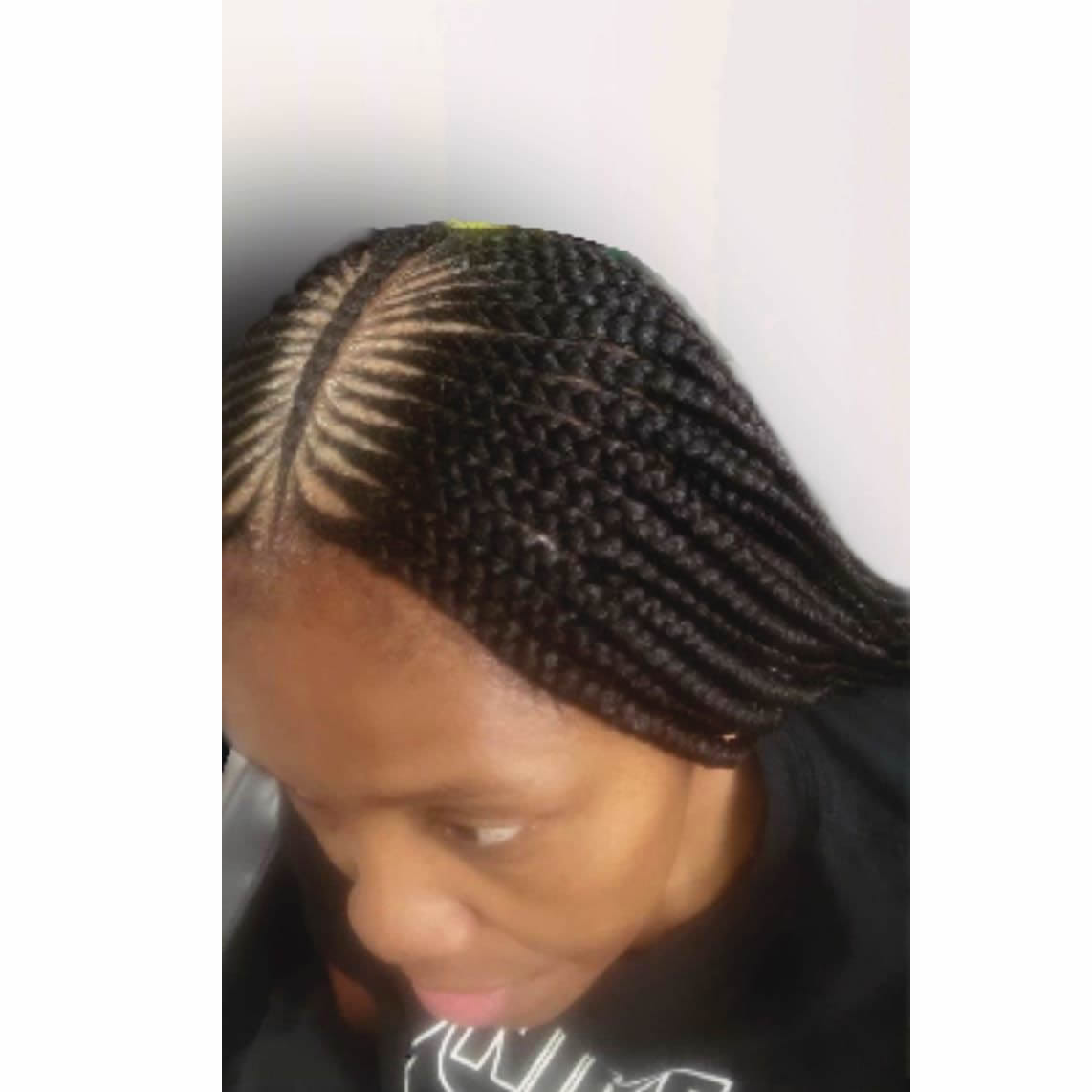 Braids 22