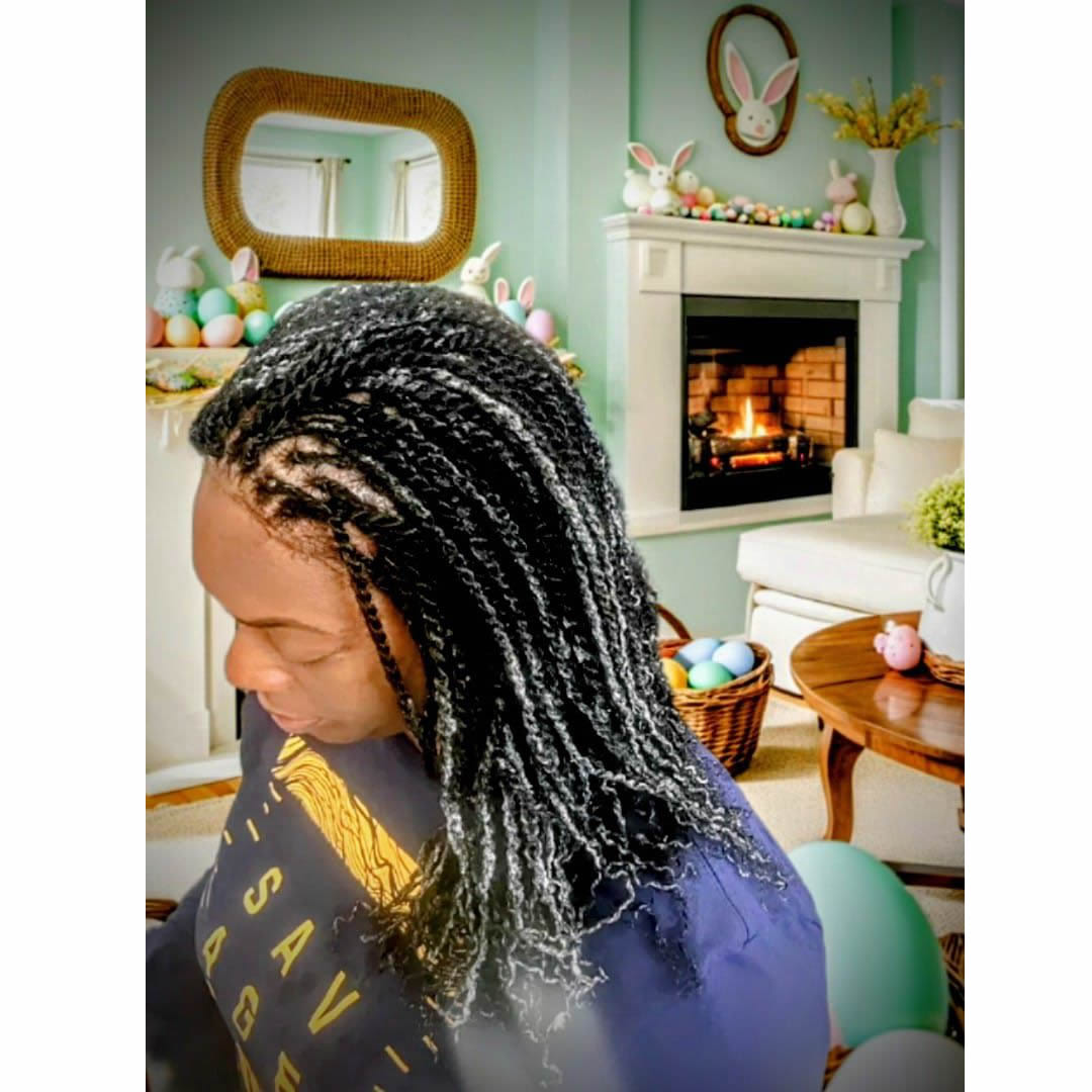 Braids 6